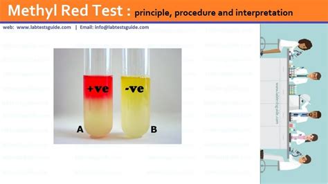 Methyl Red Test : principle, procedure and interpretation | Lab Tests Guide