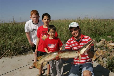 Free picture: fisherman, children, fishing, huge fish, catch