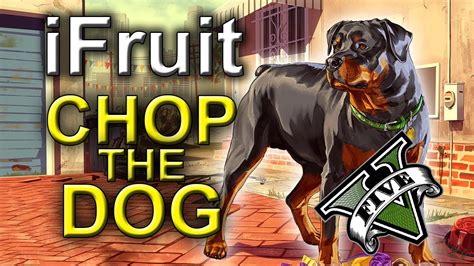 iFruit App - Chop The Dog : GRAND THEFT AUTO 5 - iPhone - YouTube