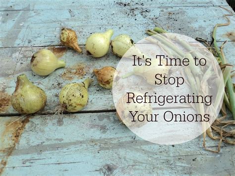 It's Time to Stop Refrigerating Your Onions | Food hacks, Its time to stop, Onion