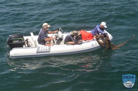 Clean-Up Tons of Debris from the Ocean & Beaches - GlobalGiving