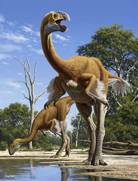 raul-martin_gigantoraptor.jpg (800×1049) | Dinosaur art, Prehistoric animals, Dinosaur illustration