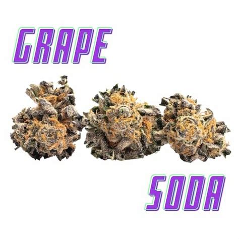 Grape Soda Strain Review and Information | 2024 🔥📖