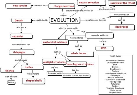 Theory Evolution: Theory Evolution Concept Map