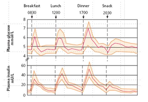 Insulin Half Life Graph