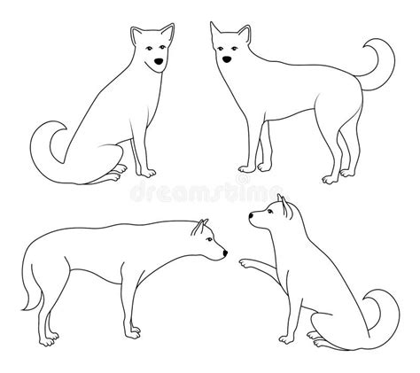 Drawing dogs stock vector. Illustration of dachshund - 24904204