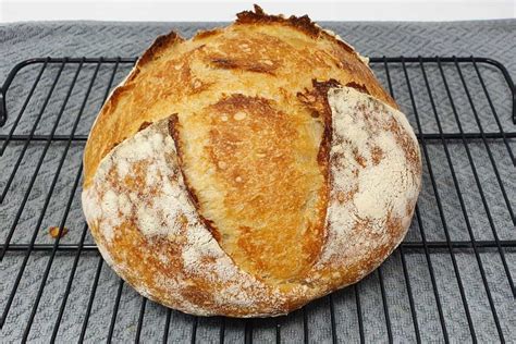 Beginner Sourdough Bread: Full Guide & Recipe - Truesourdough.com