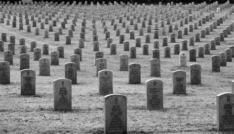 Florida National Cemetery 3. | National cemetery, Cemetery, Florida