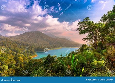 Danau Buyan Bedugul Bali Stock Photo | CartoonDealer.com #212237784