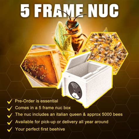 5 Frame Nuc – Dan The Pest Man