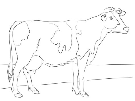 Free Cow Coloring Pages Printable