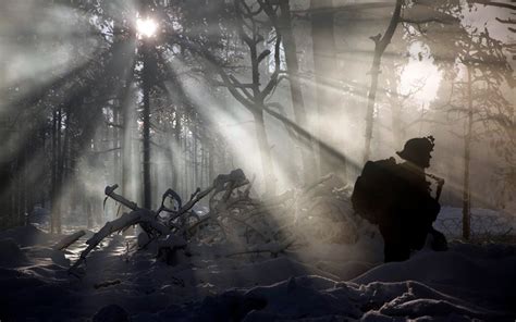 Silhouette of man, forest, soldier, military, sun rays HD wallpaper ...