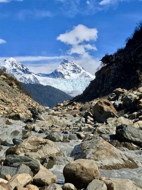 Day hiking in Glacier Bay National Park - Arctic Wild