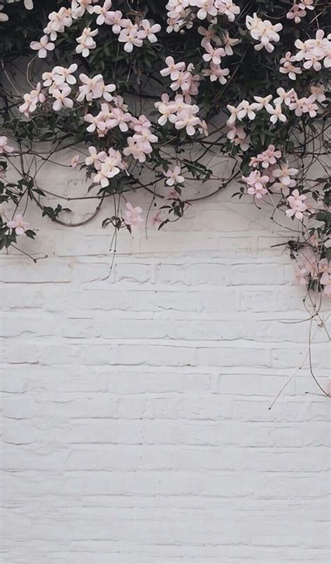 20 Perfect wallpaper aesthetic grey You Can Get It For Free - Aesthetic ...