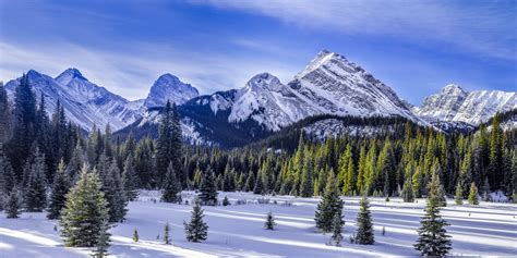 Snow Covered Mountains Morning Light Canmore Photo Print | Photos by ...