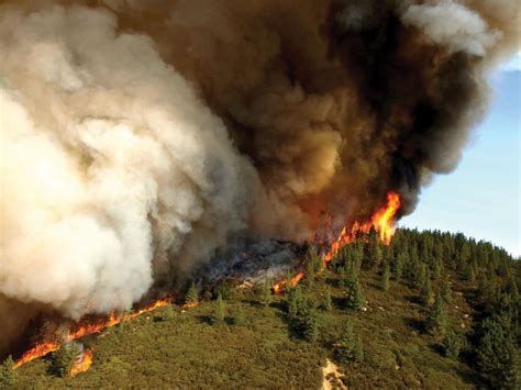 Forest fire | Definition, Description, Ecology, & Facts | Britannica