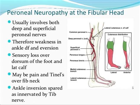 114 best Rehabilitation images on Pinterest | Physiotherapie, Ergotherapie und Gesundheit