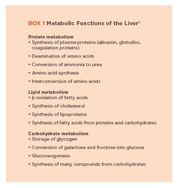 Liver Enzyme Interpretation and Liver Function Tests | Today's Veterinary Practice