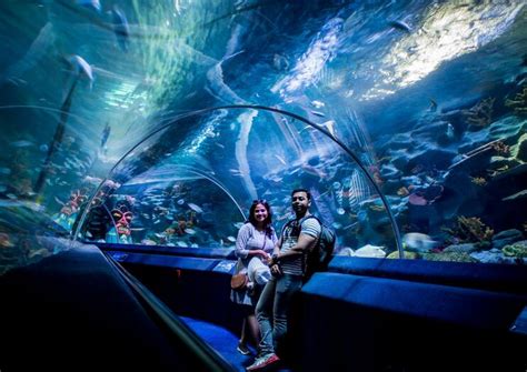 The Best Istanbul SEA LIFE® Aquarium Tours & Tickets 2020 | Viator