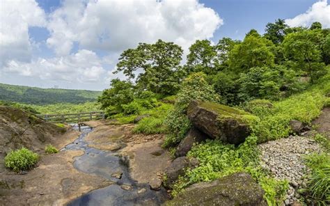 After Almost 9 Months Of Being Shut, Sanjay Gandhi National Park Is Finally Open For Tourists ...