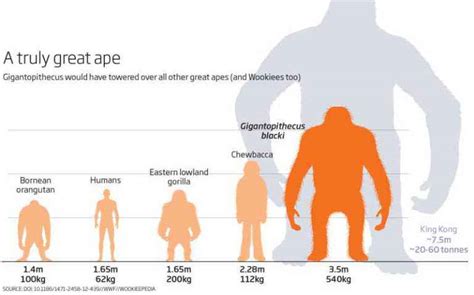 10 animali terrificanti del Pleistocene – VitAntica