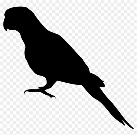 Parrot Png Silhouette Clip Art Image, Transparent Png - 8000x7527(#440603) - PngFind