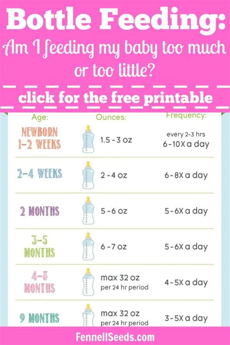 Bottle Feeding: Am I Feeding My Baby Too Much or Too Little?