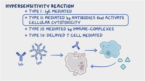 Hypersensitivity reactions - Type II: Nursing - Osmosis Video Library