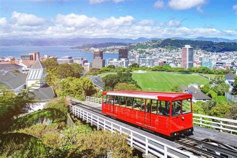 Quer viajar e trabalhar na Nova Zelândia?