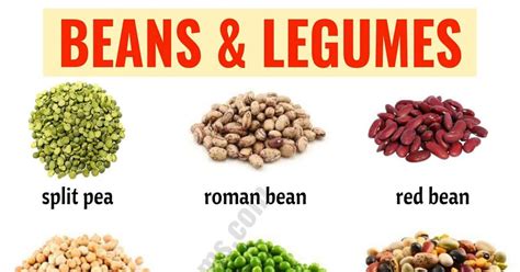 Types of Beans: 15 Different Types of Beans & Legumes with the Picture - ESL Forums