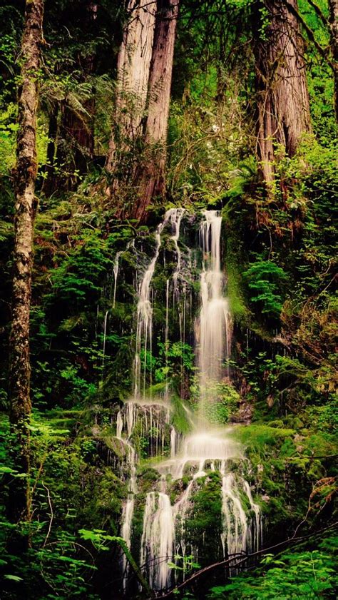 Beautiful | Olympic national park, Beautiful waterfalls