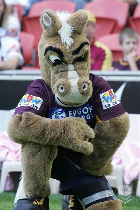 Brisbane Broncos Mascot | Brisbane broncos, Broncos, Rugby league