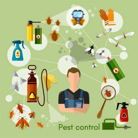 Types of Pest Control & Fumigation services: A helpful guide by CISB