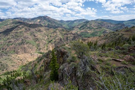 Jarbidge Wilderness | CK Outside