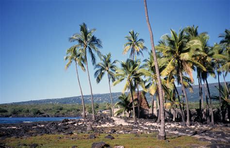 Honaunau City of Refuge, Hawaii 1980 | QUT Digital Collections