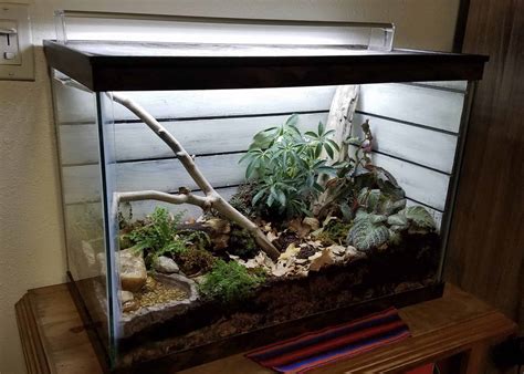 Top DIY Terrarium Ideas for Indoor Gardening - Plants Craze