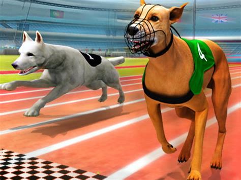 Real Dog Racing Simulator 3D | Play Now Online for Free