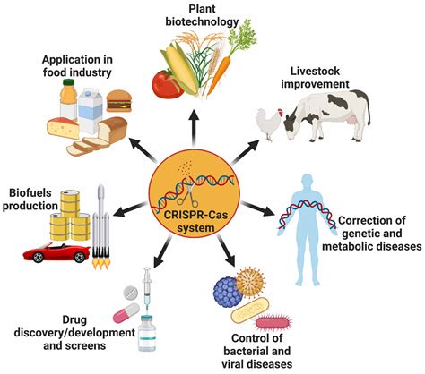 19 Surprising Facts About CRISPR-Cas System Applications - Facts.net