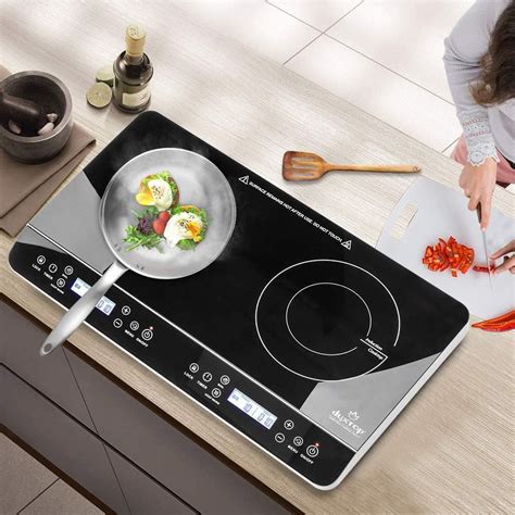 Best Portable Induction Cooktop Reviews Consumer Report