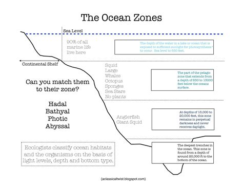 Ocean Zones Printable Worksheet