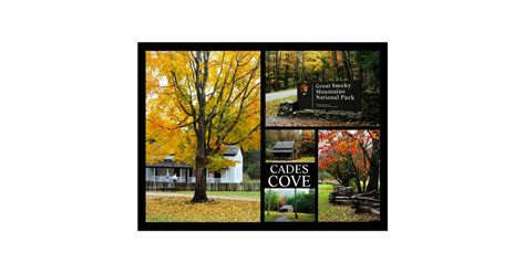 Cades Cove - Autumn Colors Photo Collage Postcard | Zazzle.com