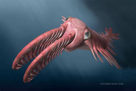 Incredible Vision in Ancient “Radiating Teeth” Deep Sea Creatures Drove an Evolutionary Arms Race