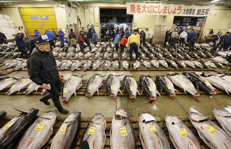 Tsukiji Fish Market – The Olympians