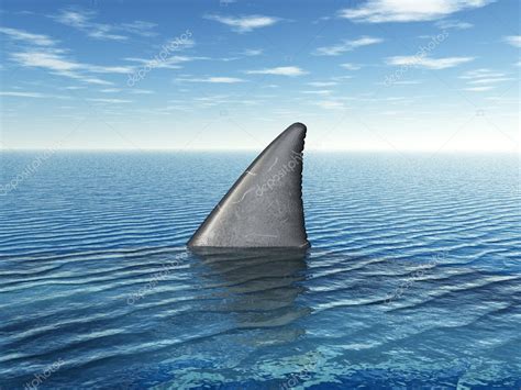 Great White Shark Fin — Stock Photo © mic1805 #16255163