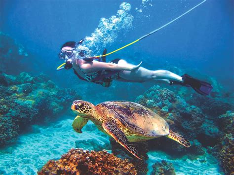 Roatan SNUBA Diving - Discover Roatan™ Excursions & Tours