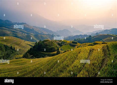 Longji Rice terraces China aerial view sunrise Stock Photo - Alamy