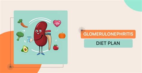 Glomerulonephritis Diet Plan: Healthy Diet For Kidney Disease