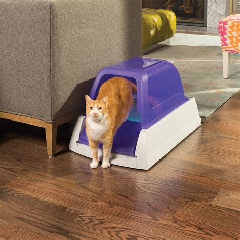 ScoopFree Ultra Self-Cleaning Litter Box | Petco Store