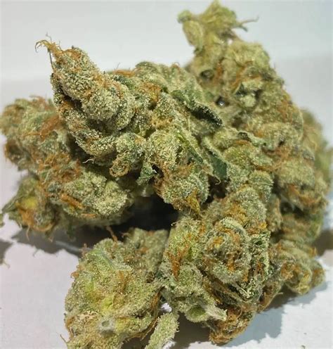 Grapefruit Tangie Strain Review