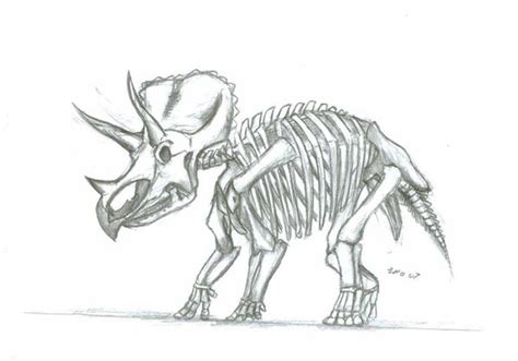 Triceratops Skeleton by Fool9 on DeviantArt